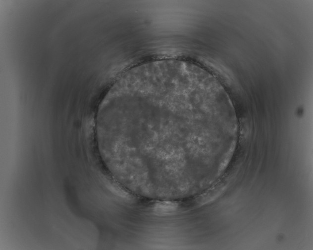 X0000094230369200711241750