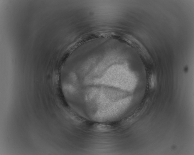 X0000094230372200711241750