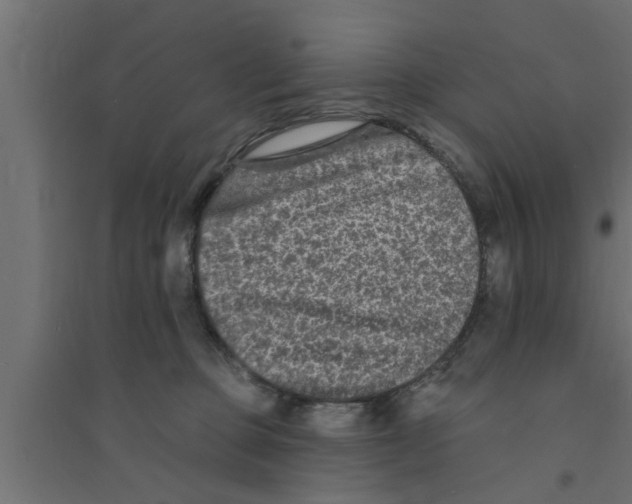 X0000094230373200711241750