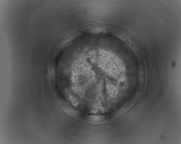 X0000094230375200711241750