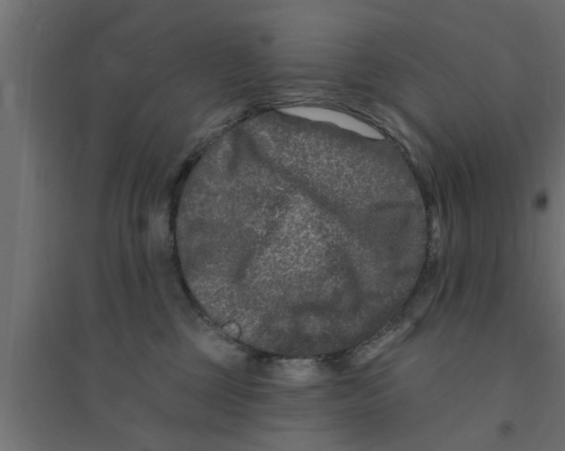 X0000094230377200711241750
