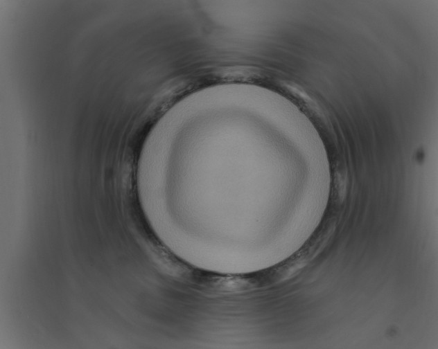 X0000094230379200711241750
