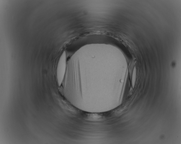 X0000094230380200711241750