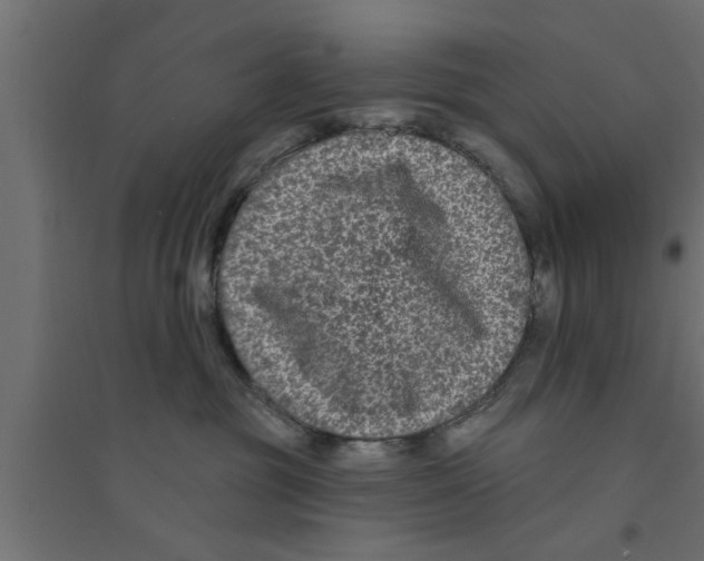 X0000094230381200711241750