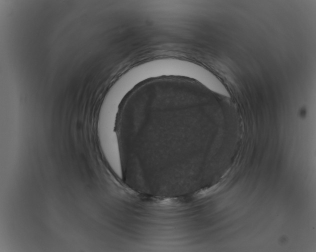 X0000094230382200711241750