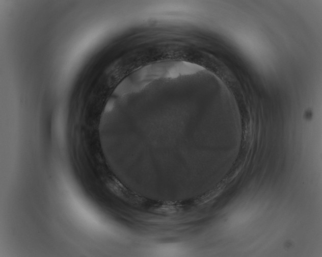 X0000094230383200711241750
