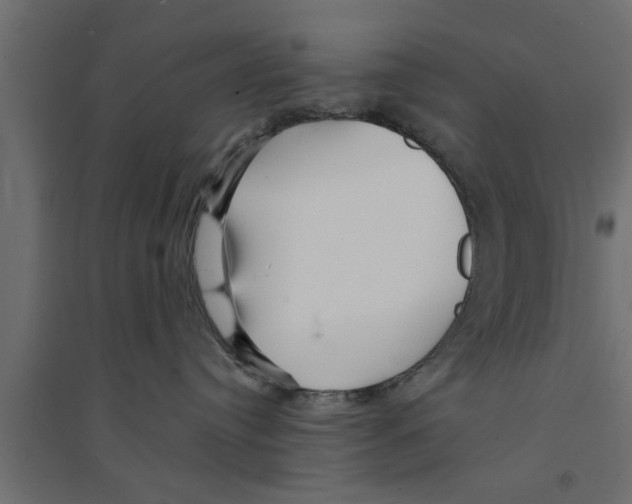 X0000094230384200711241750