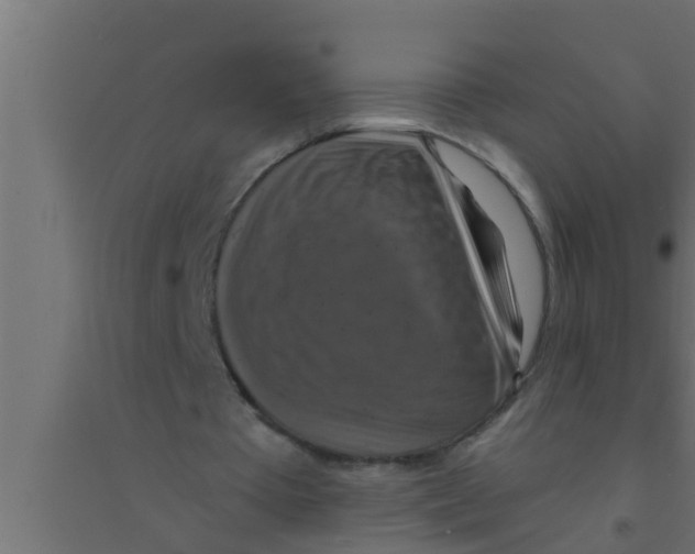X0000094230385200711241749
