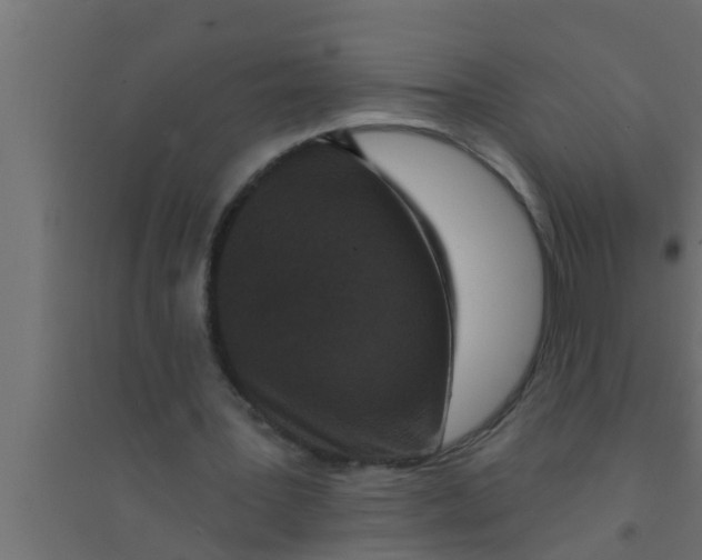 X0000094230387200711241749