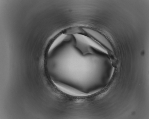 X0000094230388200711241749