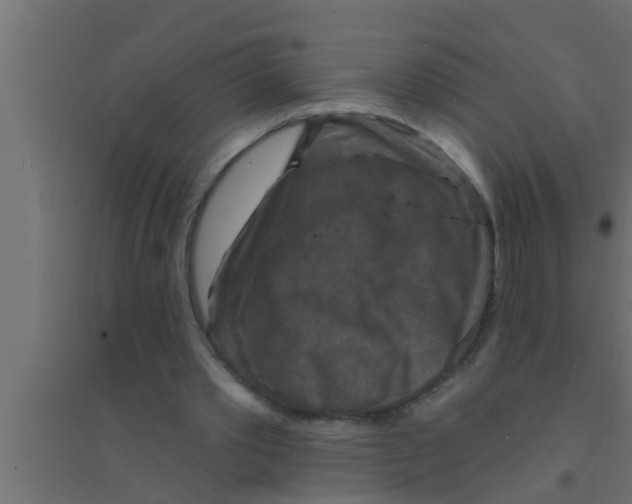 X0000094230389200711241749