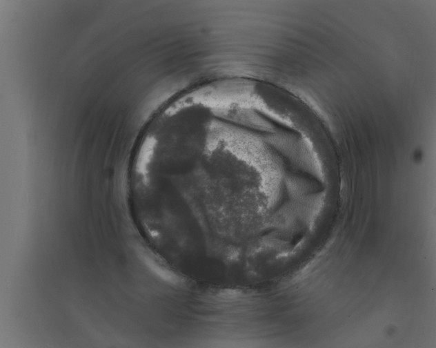 X0000094230390200711241749