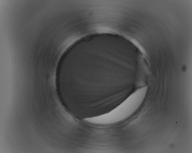 X0000094230391200711241749