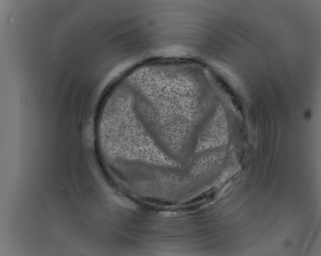 X0000094230392200711241749