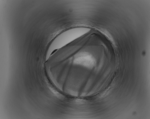 X0000094230393200711241749