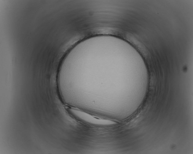 X0000094230394200711241749