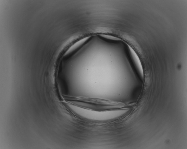 X0000094230395200711241749