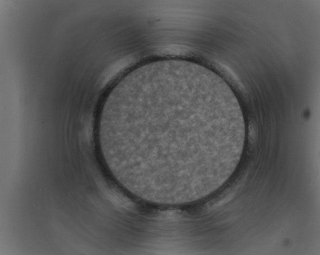 X0000094230396200711241749