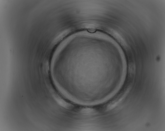 X0000094230397200711241749