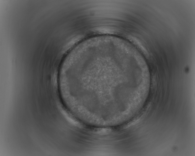 X0000094230398200711241749