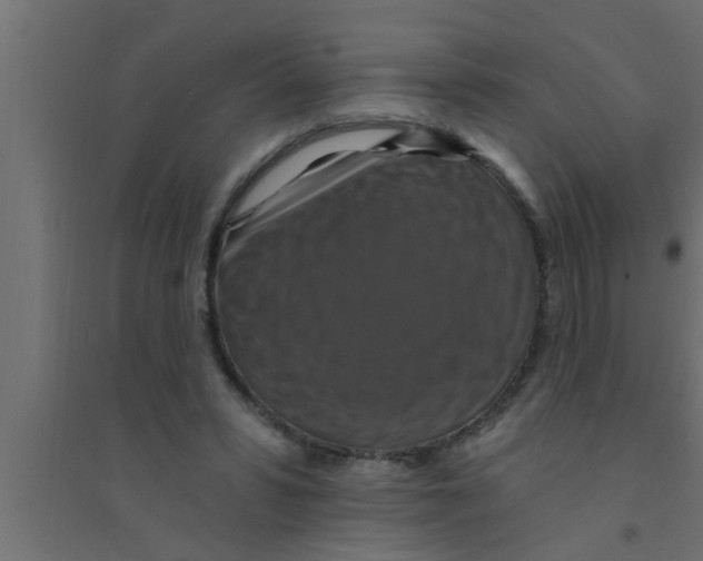 X0000094230399200711241749