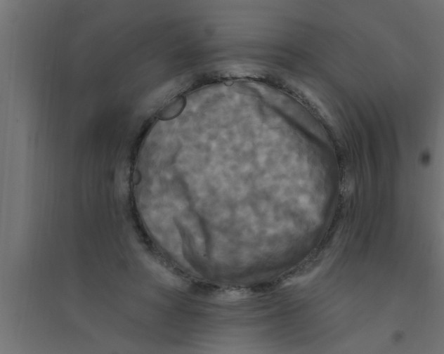 X0000094230402200711241749