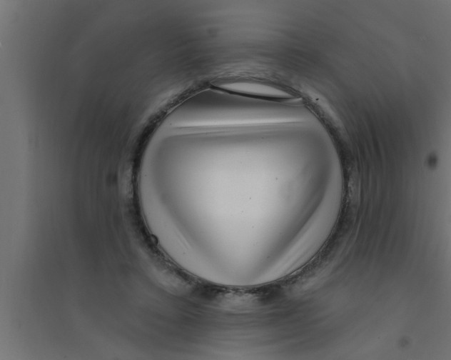 X0000094230403200711241749