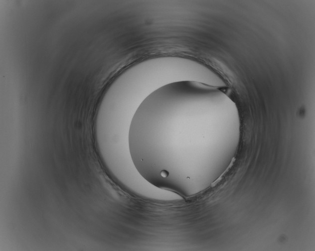 X0000094230405200711241749