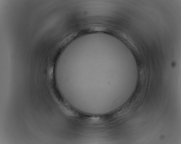 X0000094230406200711241749