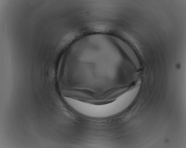 X0000094230407200711241749