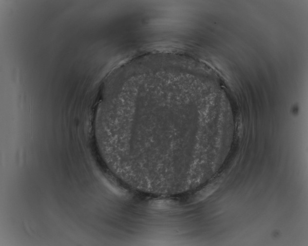 X0000094230408200711241749