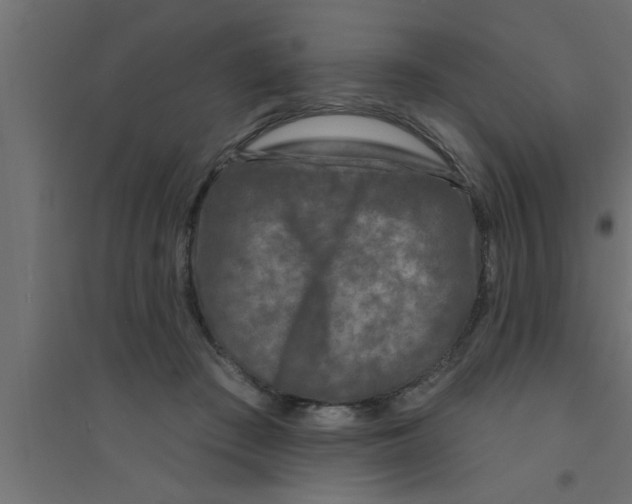 X0000094230409200711241749