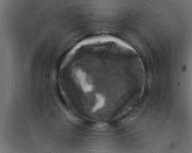 X0000094230410200711241749