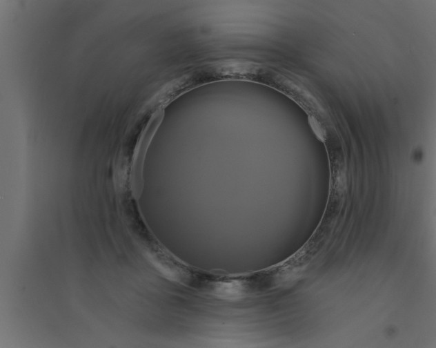X0000094230411200711241749