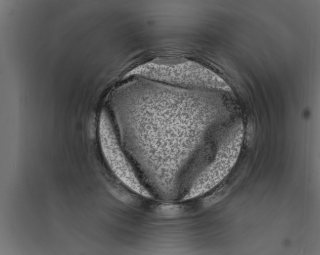 X0000094230413200711241749