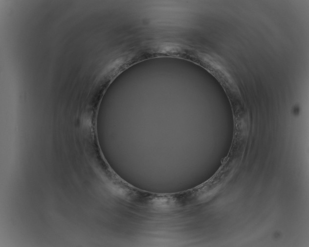 X0000094230415200711241749