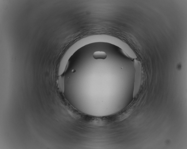 X0000094230416200711241749