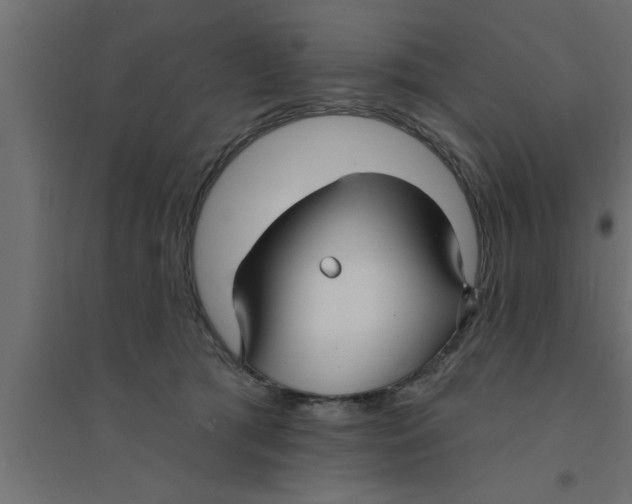X0000094230417200711241749