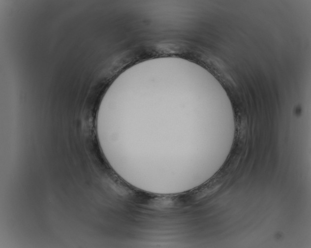 X0000094230418200711241749