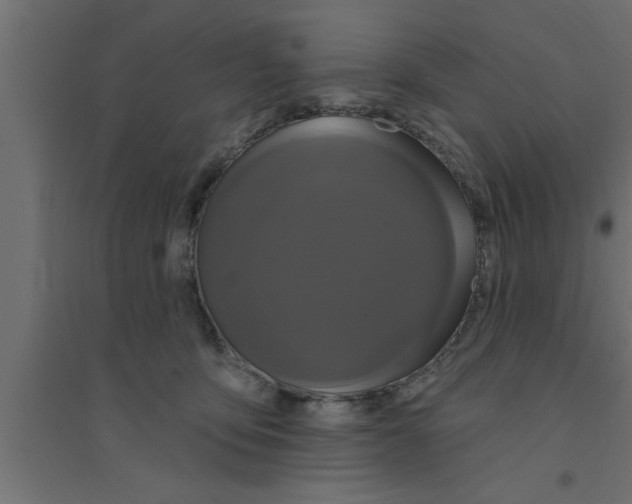 X0000094230419200711241749