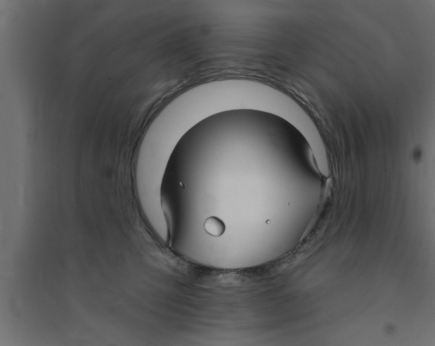 X0000094230423200711241749
