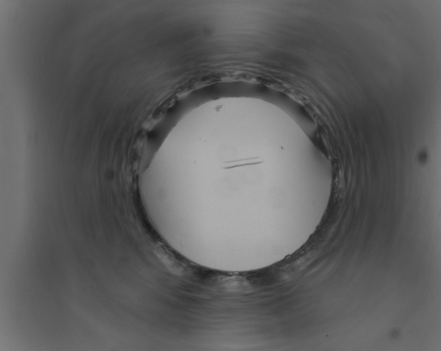X0000094230424200711241749