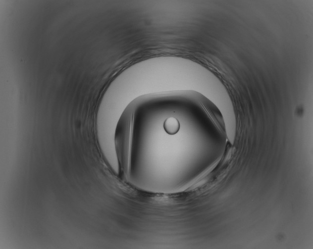 X0000094230425200711241749