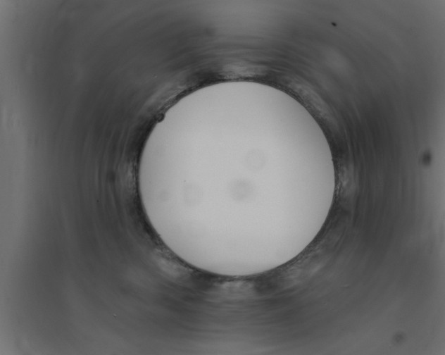 X0000094230426200711241749