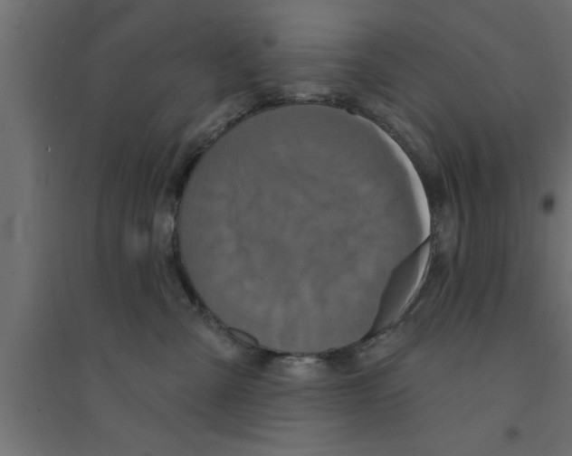 X0000094230427200711241749