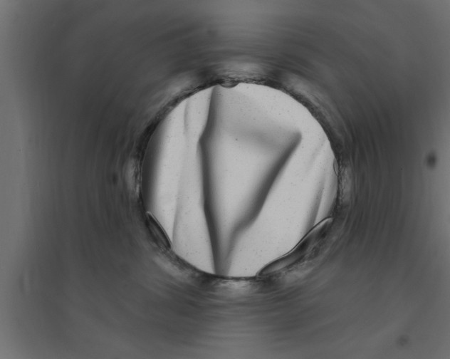 X0000094230428200711241749