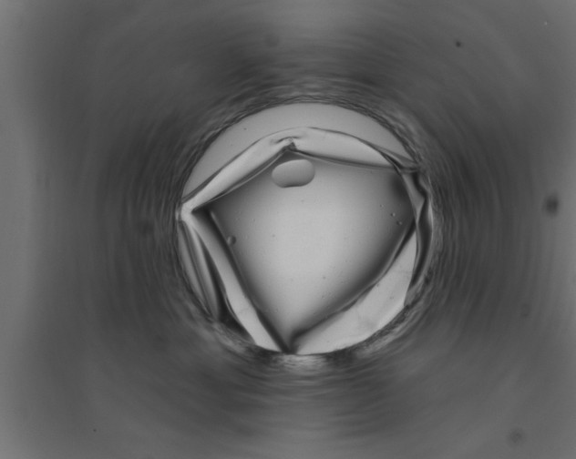 X0000094230429200711241749