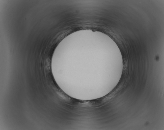 X0000094230430200711241749