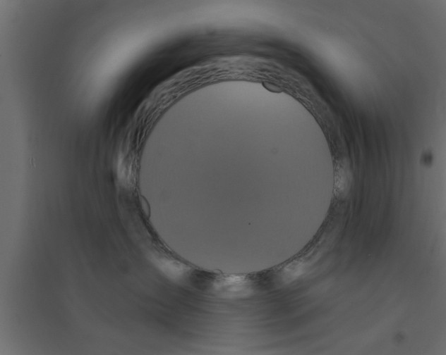 X0000094230431200711241749
