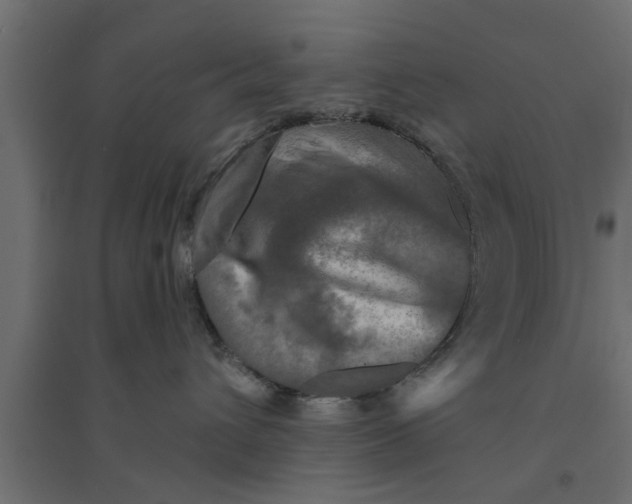 X0000094230432200711241749